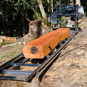 which is the best portable sawmill