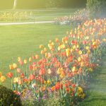 10 Best Smart Sprinkler System Controller of 2025