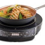 10 Best Portable Induction Cooktops in 2025 Reviews