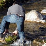 Top 10 Best Portable Water Filters of 2025