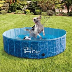 9. ALL FOR PAWS Outdoor Foldable Bathing Dog Pool Portable Pet Bath Tub Blue No Need Pump Up