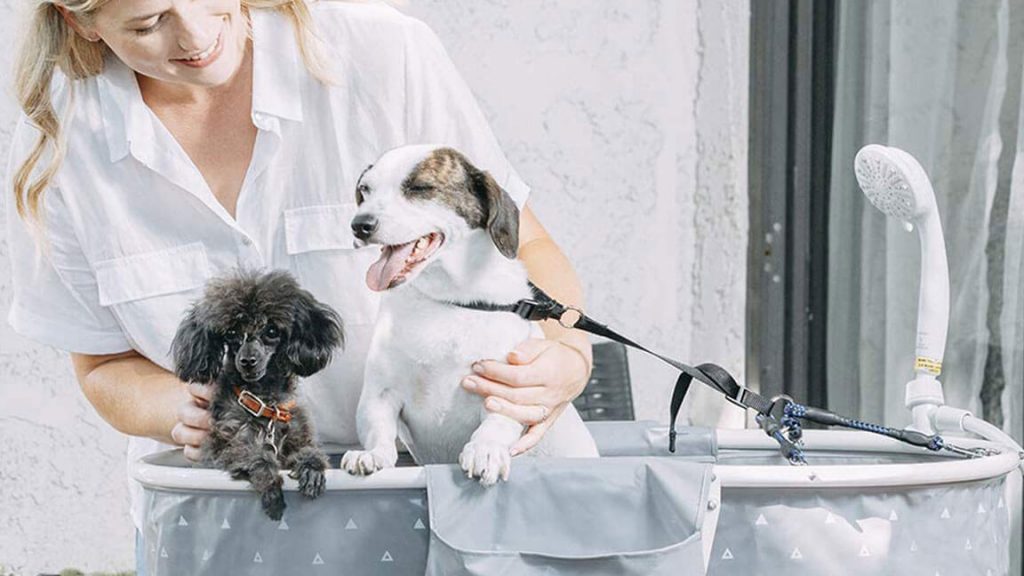 10 Best Portable Dog Bath in 2025 Reviews