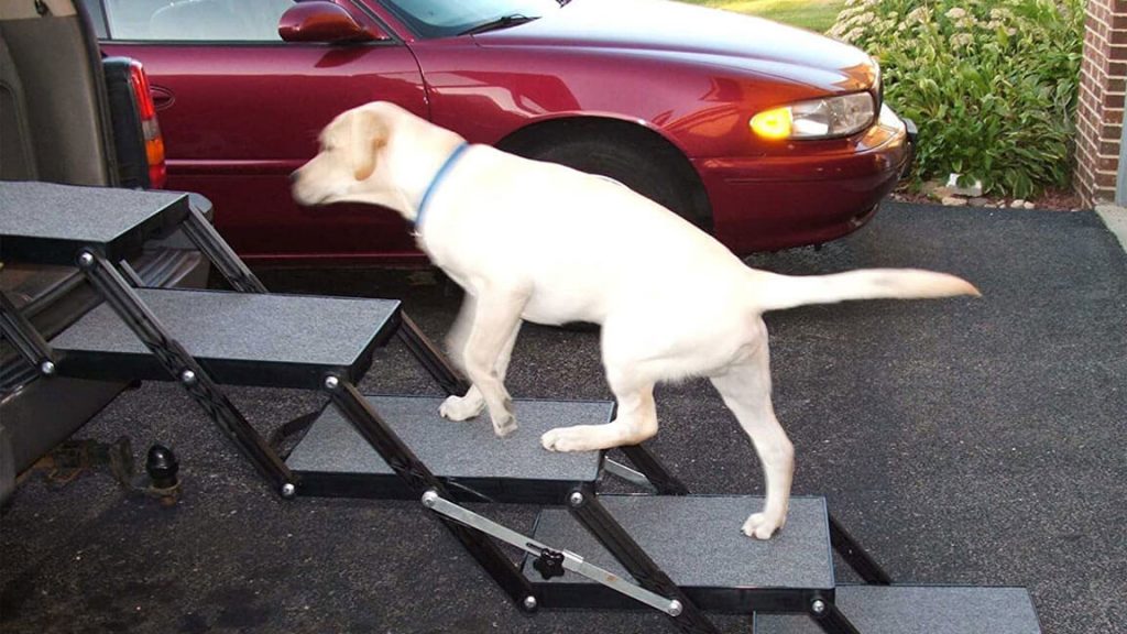 10 Best Portable RV Steps in 2025 Reviews