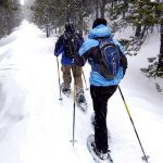 Top 10 Best Portable Snowshoeing Poles