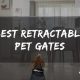 10 Best Retractable Pet Gates (2021 Reviews)