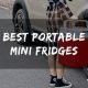Top 10 Best Portable Mini Fridge for Camping (2025 Reviews)