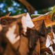 10 Best Portable Outdoor Firewood Racks For 2025